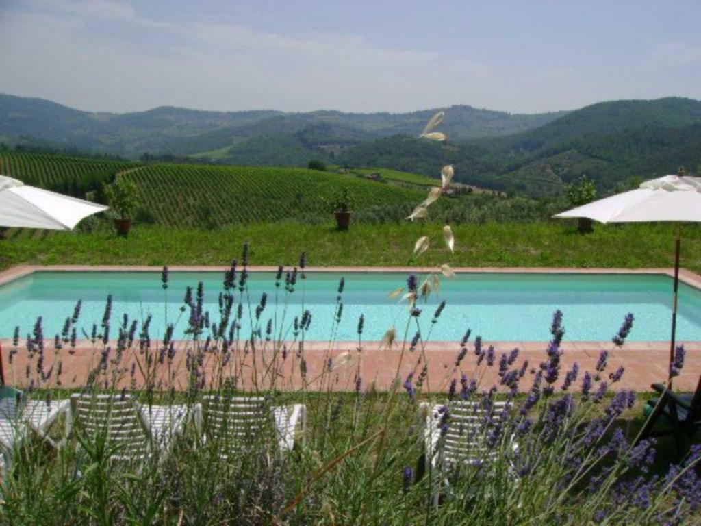 Agriturismo Il Santo Greve in Chianti Exterior foto