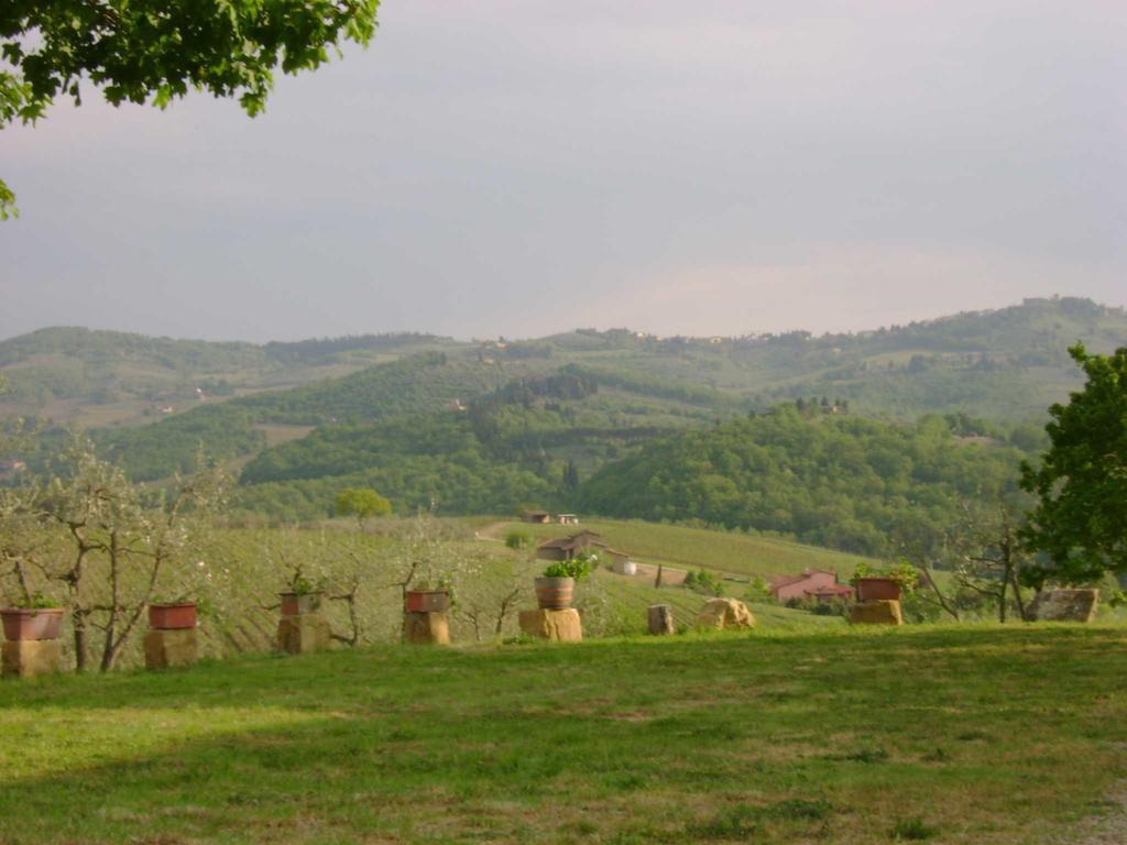 Agriturismo Il Santo Greve in Chianti Exterior foto