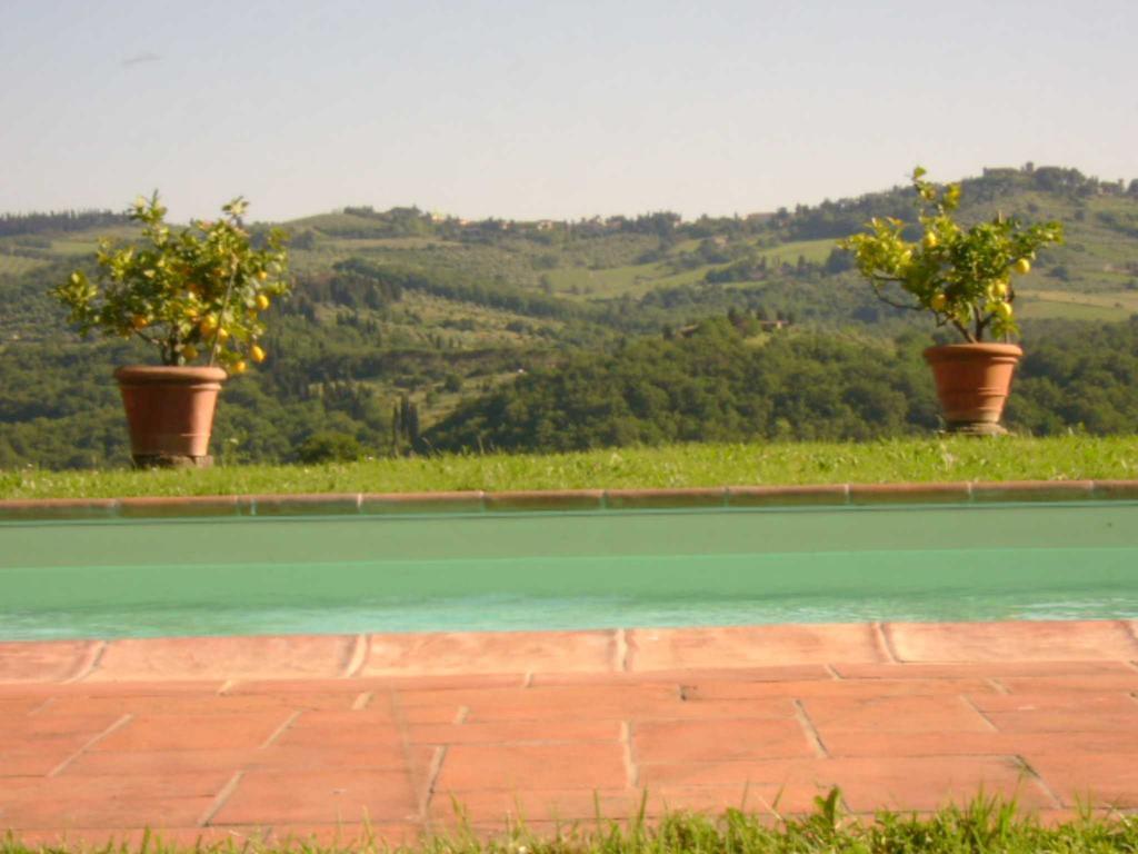 Agriturismo Il Santo Greve in Chianti Exterior foto