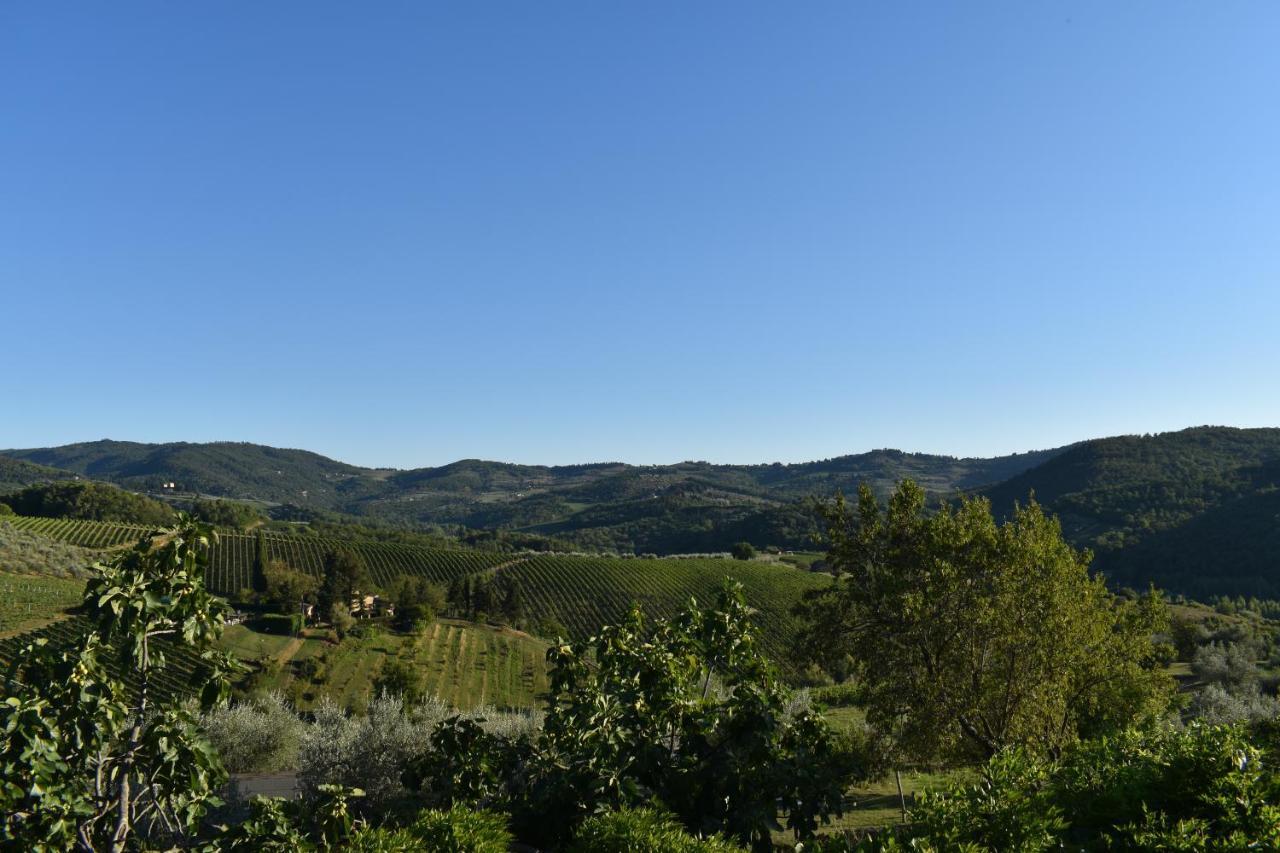 Agriturismo Il Santo Greve in Chianti Exterior foto